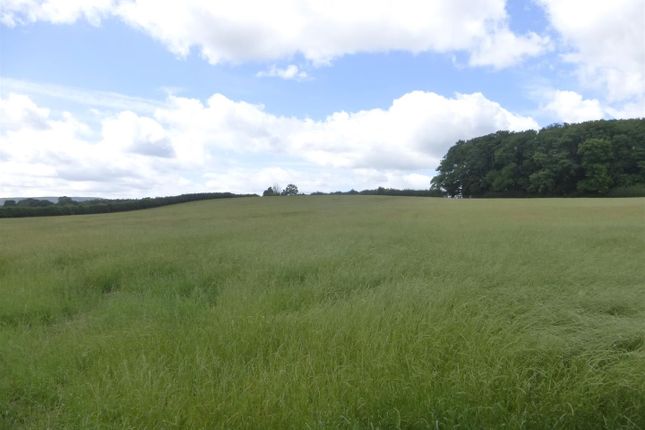 Lot 1 - Approx. 10.45 Acres Of Pasture &amp; Woodland