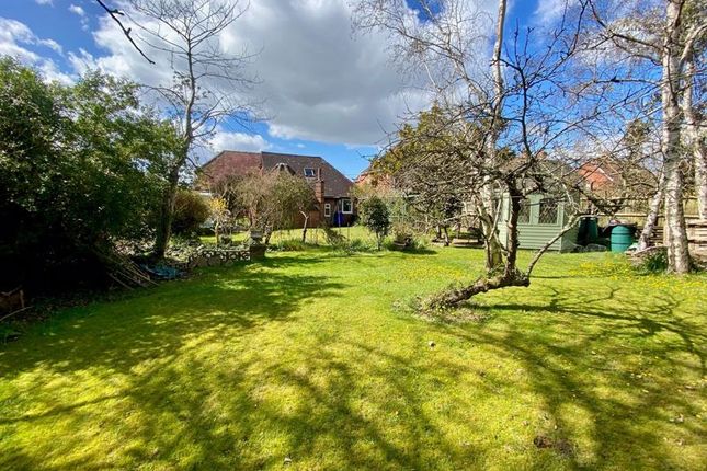 Enclosed Rear Garden