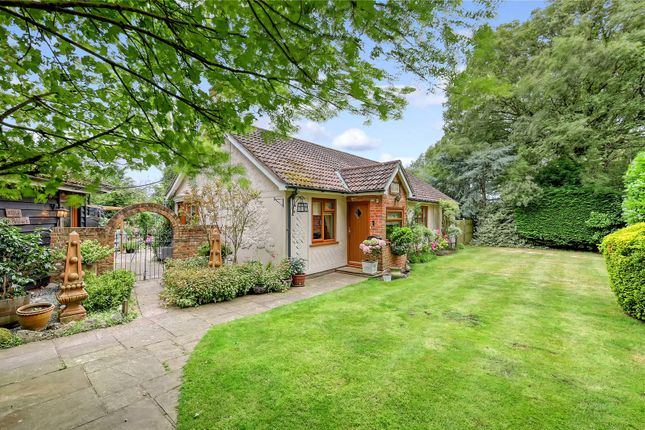 Thumbnail Bungalow for sale in Brittons Lane, Stock, Ingatestone, Essex