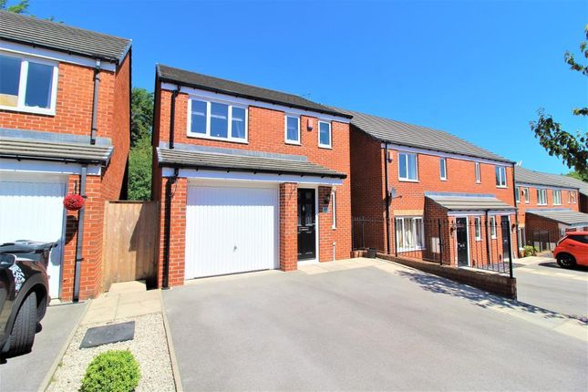Thumbnail Detached house for sale in Bluebell Bank, Barnsley, South Yorkshire