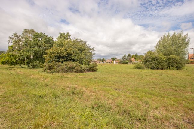 171 Lynn Road, Roydon, Norfolk photo 4