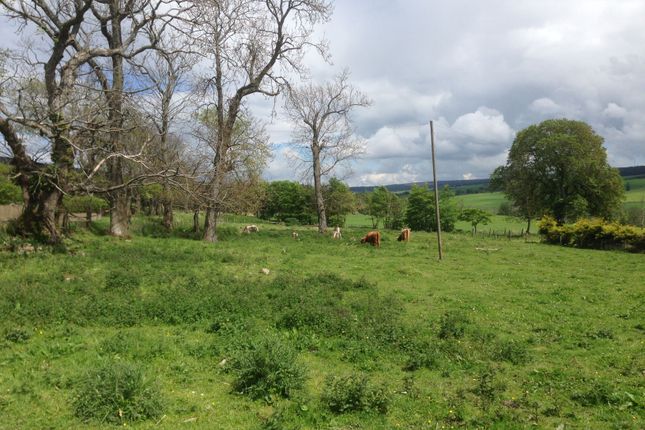 Land for sale in Maggieknockater, Craigellachie