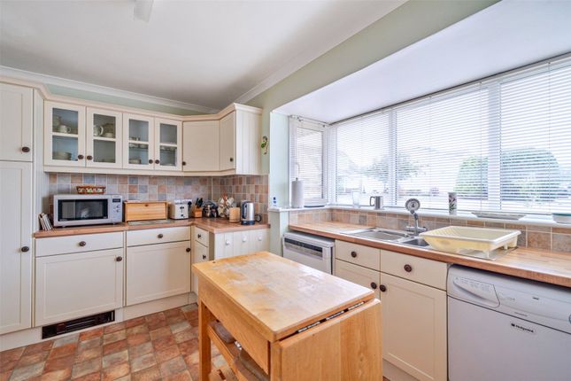 10, Springfields, Colyton photo 3