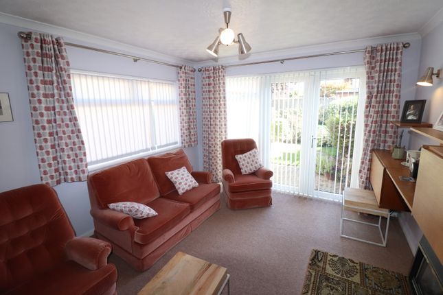 7, Chelmsford photo 5