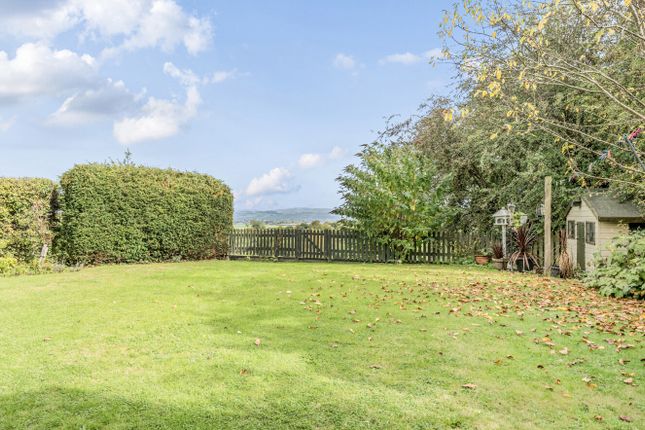 1361446-20-68Dd69...