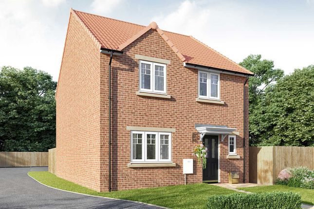 Thumbnail Detached house for sale in "The Mylne" at York Road, Knaresborough