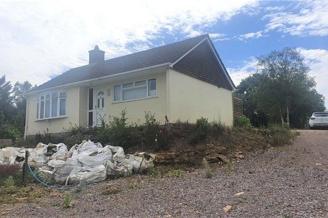 Detached bungalow for sale in Longburton, Sherborne