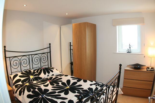 Apt 34, Warrington photo 4