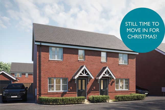 Wp Forget Me Not Xmas