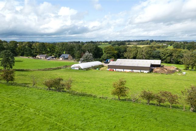 Thumbnail Land for sale in Breckon Hill Farm, Lowgate, Hexham, Northumberland
