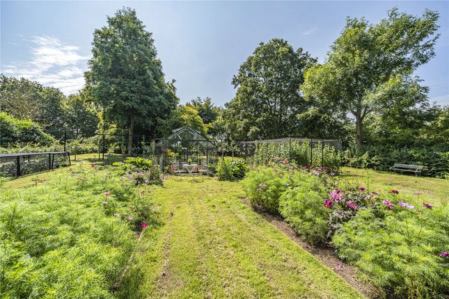 Kitchen Garden