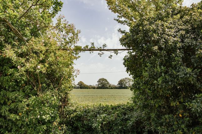 Cold Harbour, Common Road, Diss photo 2