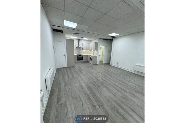 Large Brand New Studio