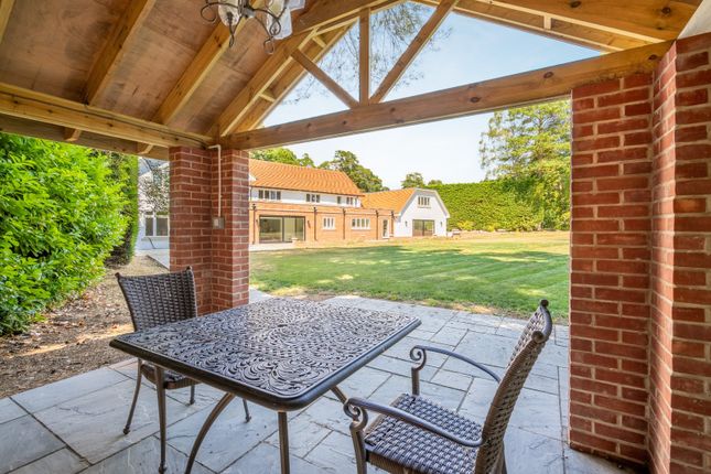 Bbq Shelter