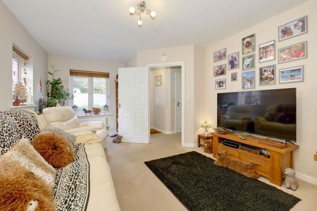 2, Goldring Avenue, Hellingly photo 4