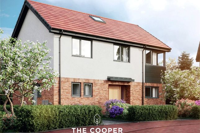Homes For Sale In Old Rufford Road Bilsthorpe Newark Ng22 Buy