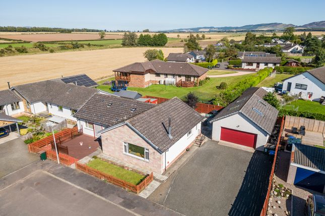 Thumbnail Bungalow for sale in 7 Fraser Avenue, Wolfhill, Perthshire