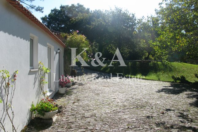 Farm for sale in Vila Praia De Âncora, Vila Praia De Âncora, Caminha