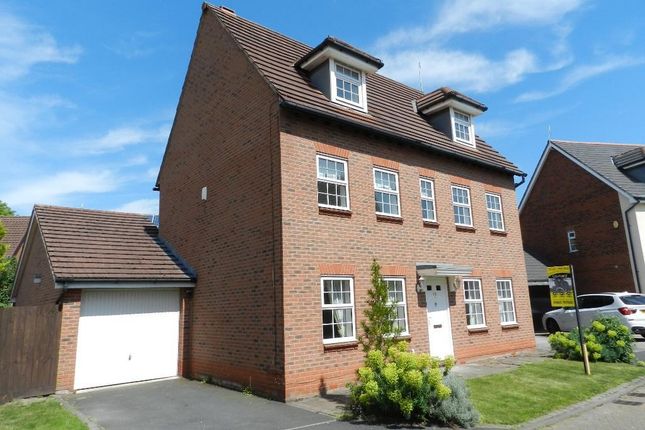 Thumbnail Detached house to rent in Browning Drive, Winwick, Warrington, Cheshire