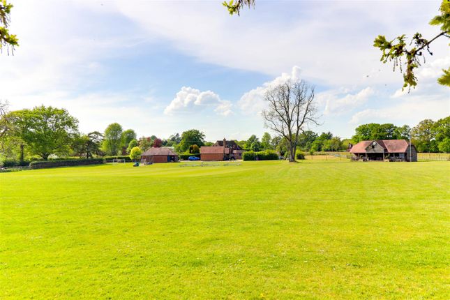 Cricket Pitch 1.2.Jpg
