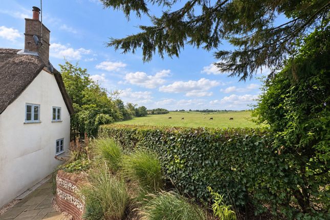 Jacks Cottage, Blandford Forum photo 3