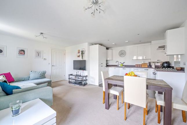 Potter Crescent, Wokingham photo 4