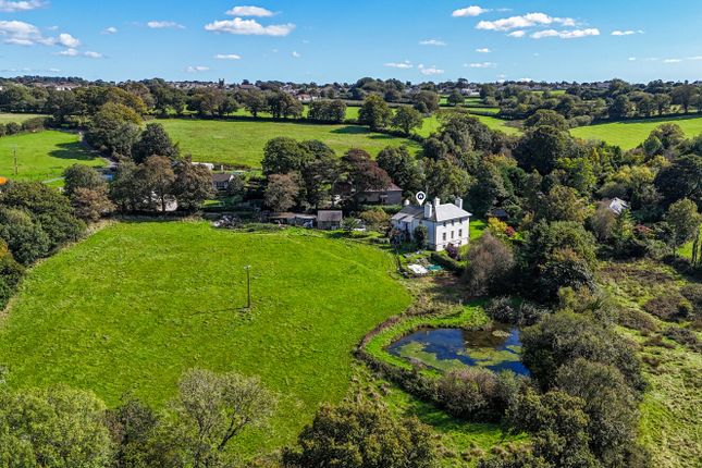 1358931-5-68d16A2...