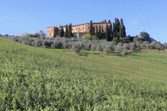 Country house for sale in Montalcino, Montalcino, Toscana