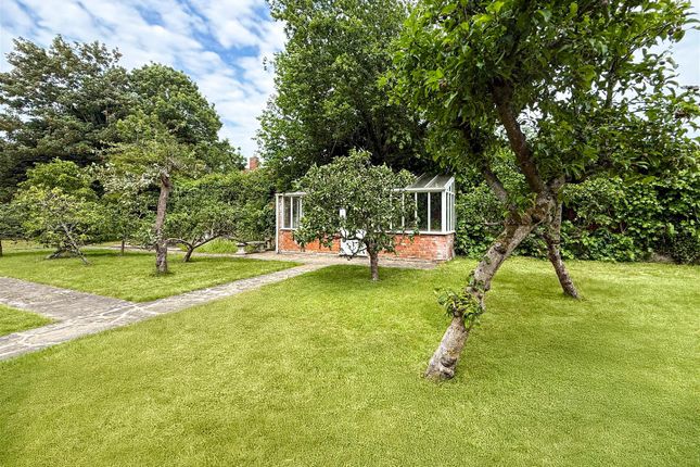 Kitchen Garden