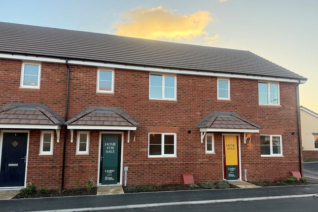 Vdsw Lh Mbrook Eveleigh 160 Hero (1)