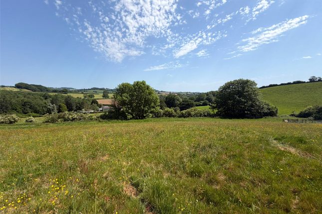 Land East Of Woods Lane,, Beaminster, Dorset photo 4