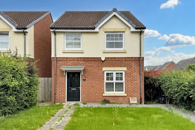 Thumbnail Detached house for sale in Bedeswell Close, Hebburn