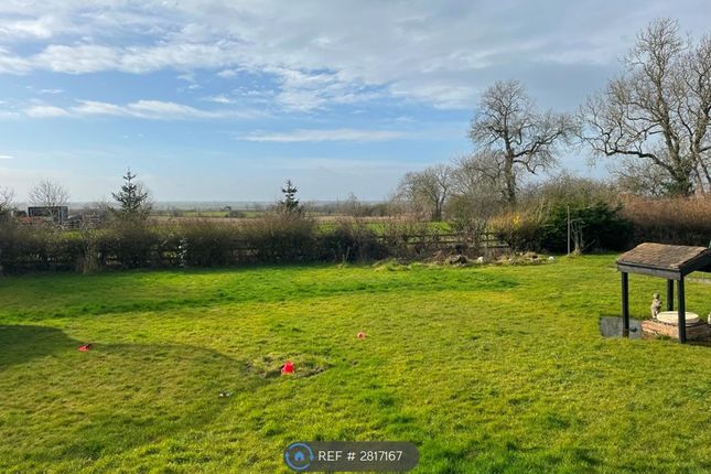 Alfrace, Newton Lane Wigston, Leicester photo 4