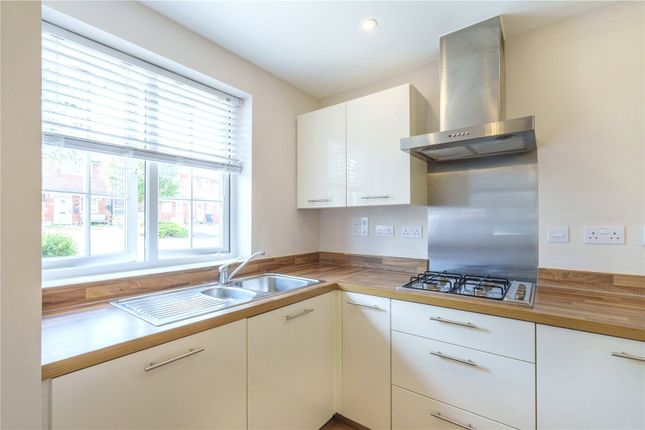 Clover Way, Newton Abbot photo 4