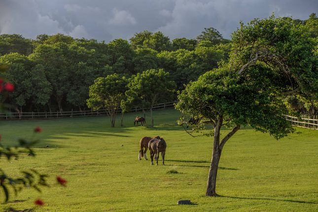 Villa for sale in Mustique, Vc0410, St Vincent And The Grenadines