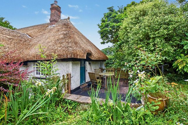 Crosshill Cottage,, Woodbury Salterton, Devon photo 4