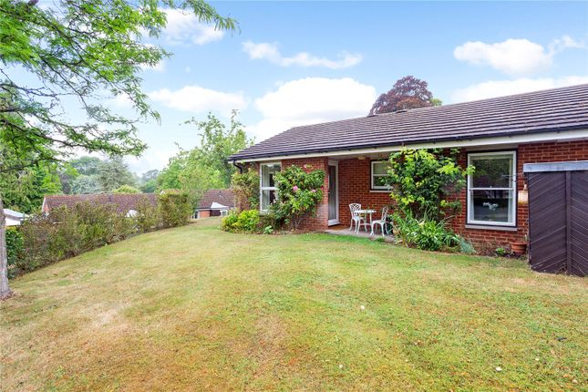 Thumbnail Bungalow for sale in Headbourne Worthy House, Bedfield Lane, Headbourne Worthy, Winchester