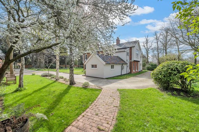 Detached house for sale in East Barton, Great Barton, Bury St. Edmunds