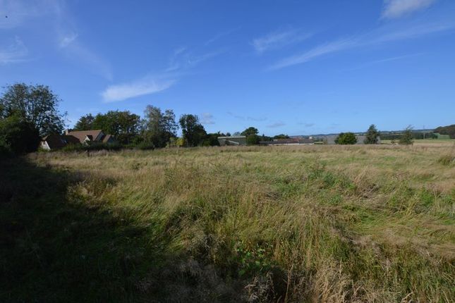 Land for sale in Wyck Lane, East Worldham, Alton, Hampshire