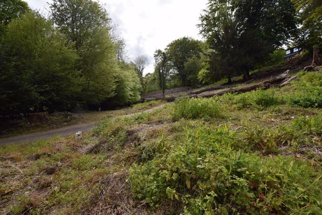 Land for sale in Opposite Bushy Leaze Wood, Beech, Alton, Hampshire