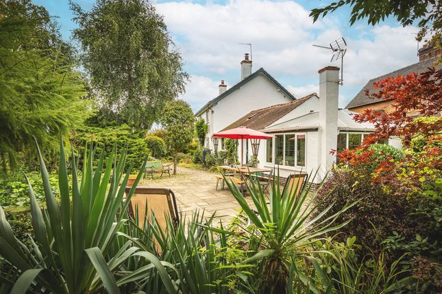 White Cottage, 54, Ashbourne Road, Derby photo 5