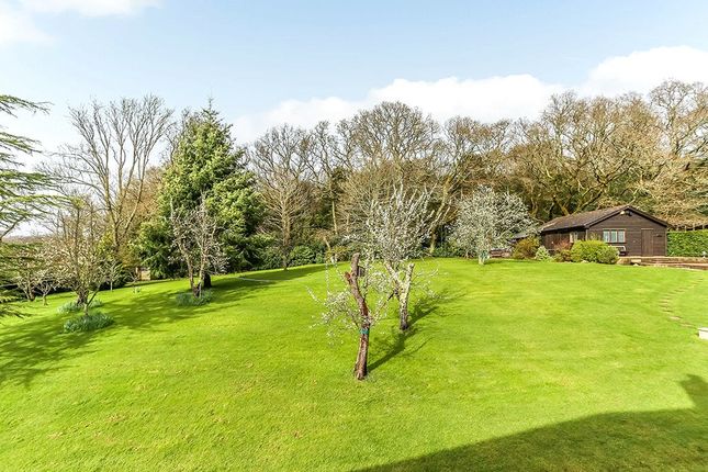 Country house for sale in Dunwood Hill, East Wellow, Romsey, Hampshire