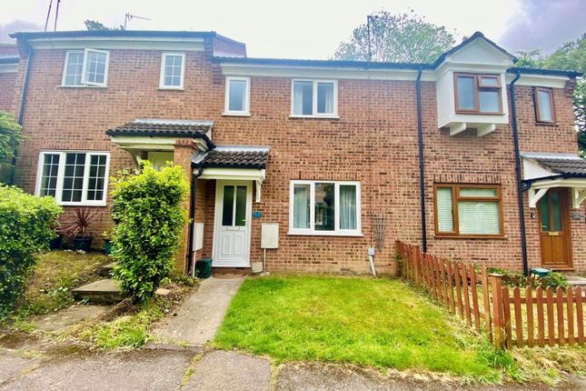 Thumbnail Property to rent in Suters Drive, Taverham, Norwich