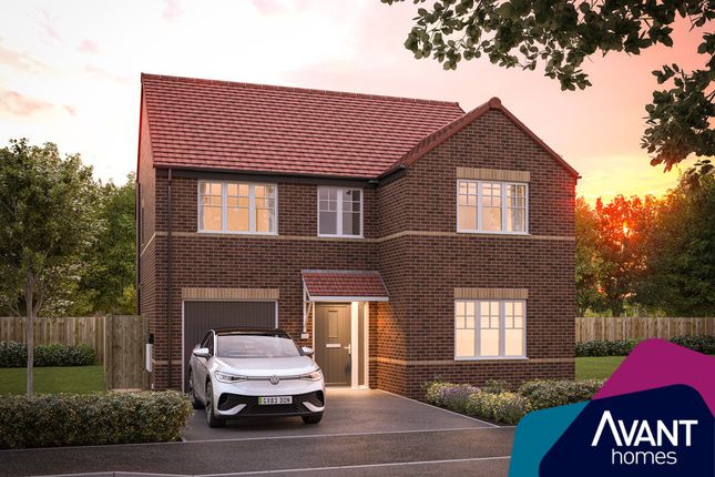 Thumbnail Detached house for sale in "The Darwood" at Land Off Round Hill Avenue, Ingleby Barwick
