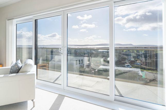 Discreetly Marketed, DM, Burry Port photo 2