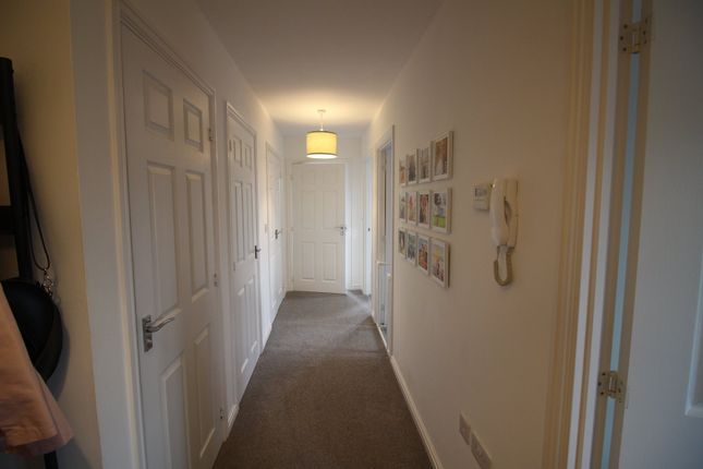 Halter way, Andover Hampshire photo 2