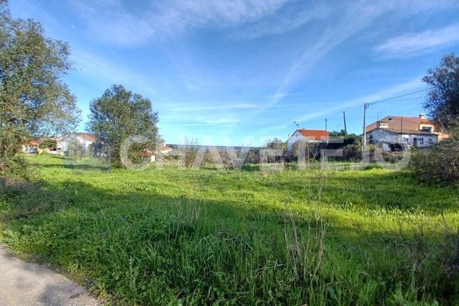 Land for sale in Pai Cabeça, Serra E Junceira, Tomar