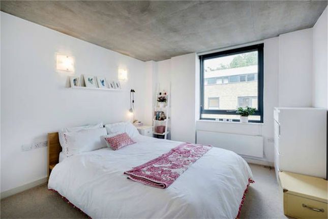 Drummond Street, London photo 3