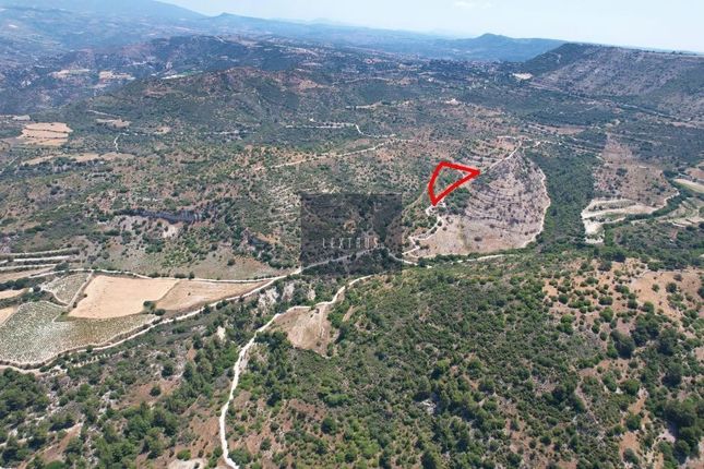 Thumbnail Land for sale in Paphos, Cyprus