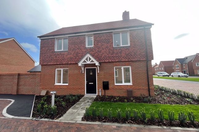Thumbnail Detached house to rent in Piper Way, West Broyle, Chichester